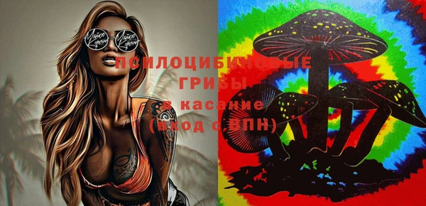 сатива Абдулино