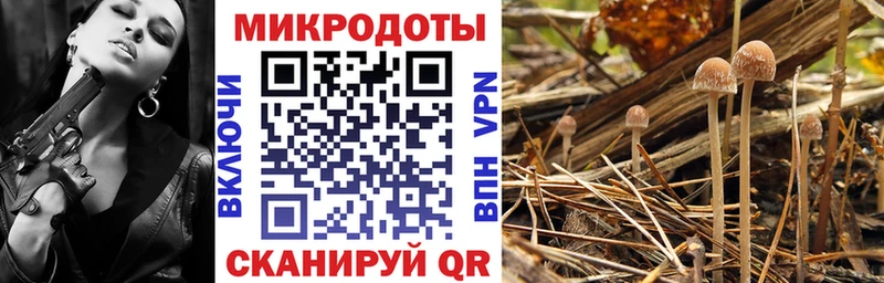 ссылка на мегу ONION  Староминская  Галлюциногенные грибы мухоморы  где можно купить  